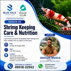 Learn how to care of ornamental dwarf shrimps and their nutrition from the expert with Abishek Mallick of Blue Vale life tech