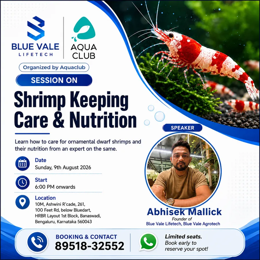 Shrimp Keeping Care & Nutrition with Abhisek Mallick Learn how to care of ornamental dwarf shrimps and their nutrition from the expert with Abishek Mallick of Blue Vale life tech