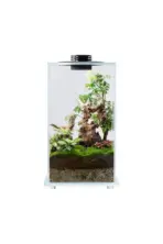 Bioloark Bio Bottle FD250 - Bioloark Bio Bottle FD250, LED bio bottle aquarium, adjustable ventilation glass terrarium, USB powered aquarium decor, large volume glass bio bottle India, bioloark terrarium container, 5600K LED aquarium light bottle, bioloark bio bottle FD250, premium glass aquarium habitat, versatile aquascaping bottle
