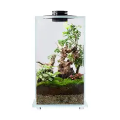 Bioloark Bio Bottle FD250 - Bioloark Bio Bottle FD250, LED bio bottle aquarium, adjustable ventilation glass terrarium, USB powered aquarium decor, large volume glass bio bottle India, bioloark terrarium container, 5600K LED aquarium light bottle, bioloark bio bottle FD250, premium glass aquarium habitat, versatile aquascaping bottle