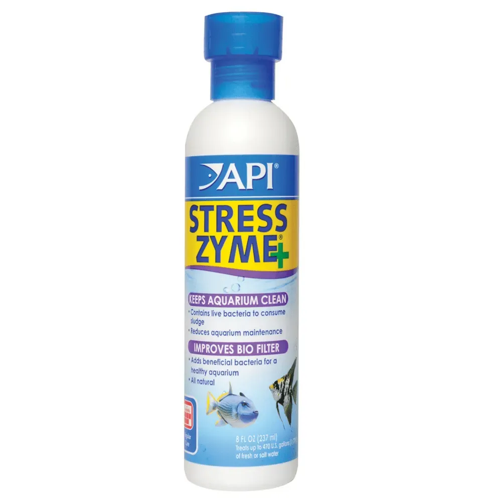 API Stress Zyme+ Water Conditioner 237ml API Stress Zyme+, API Stress Zyme 118ml, API Stress Zyme 237ml, API Stress Zyme 473ml, API beneficial bacteria, aquarium bacteria supplement India, aquarium biological cleaner, freshwater aquarium bacteria, saltwater aquarium bacteria, aquarium sludge remover, aquarium water conditioner India, API aquarium products