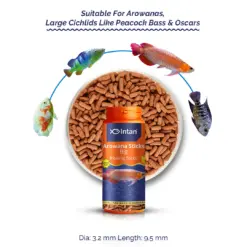Intan Arowana Sticks - Big | Floating Fish Food - Intan Arowana Sticks Big, floating food for Arowana, Arowana color enhancing food, best Arowana food India, predatory fish floating pellets, Arowana food for adults, Peacock Bass fish food, Oscar fish floating feed, astaxanthin fish food, live feed alternative for Arowana