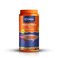 Intan Arowana Sticks - Big | Floating Fish Food - Intan Arowana Sticks Big, floating food for Arowana, Arowana color enhancing food, best Arowana food India, predatory fish floating pellets, Arowana food for adults, Peacock Bass fish food, Oscar fish floating feed, astaxanthin fish food, live feed alternative for Arowana
