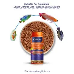 Intan Arowana Sticks - Small | Floating Fish Food - Intan Arowana Sticks Small, best arowana food India, floating fish food for Arowana, Arowana color enhancement food, predatory fish feed for Oscar and Peacock Bass, astaxanthin fish food, live feed alternative for Arowana, high protein floating pellets for Cichlids