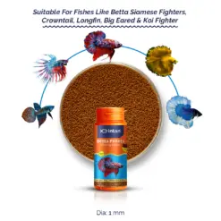 Intan Betta Pellets | Floating Fish Food - Intan Betta Pellets, floating betta food India, best food for fighter fish, betta fish pellets for color enhancement, bloodworm betta food, Crowntail betta food, Siamese fighting fish diet, high protein betta pellets, fish food for Koi Betta, betta fish food to prevent bloating