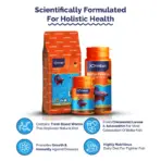 Intan Betta Pellets | Floating Fish Food - Intan Betta Pellets, floating betta food India, best food for fighter fish, betta fish pellets for color enhancement, bloodworm betta food, Crowntail betta food, Siamese fighting fish diet, high protein betta pellets, fish food for Koi Betta, betta fish food to prevent bloating