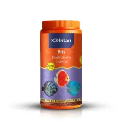 Intan Bits - Slow Sinking Fish Food | Crumble - Intan Bits fish food, slow sinking crumble for discus, Discus fish food India, colour enhancing fish food, Antarctic krill fish feed, community fish food for Danios and Barbs, high protein discus food, best food for vibrant fish colours