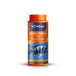Intan Cichlid Pellets - Big | Floating Fish Food - Intan Cichlid Pellets Big, floating cichlid food India, high protein cichlid pellets, African Cichlid fish food, colour enhancing food for Cichlids, Mbuna fish food, Peacock Cichlid diet, Oscar fish growth food, Flowerhorn colour pellets, best cichlid food for growth