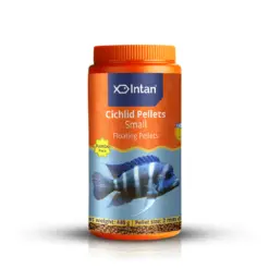 Intan Cichlid Pellets - Small | Floating Fish Food - Intan Cichlid Pellets Small, floating fish food for cichlids, African Cichlid food India, Mbuna fish pellets, Peacock Cichlid colour enhancing food, high protein cichlid diet, best food for juvenile cichlids, cichlid fish food with astaxanthin