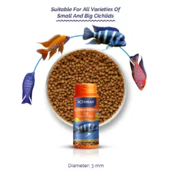 Intan Cichlid Pellets - Big | Floating Fish Food - Intan Cichlid Pellets Big, floating cichlid food India, high protein cichlid pellets, African Cichlid fish food, colour enhancing food for Cichlids, Mbuna fish food, Peacock Cichlid diet, Oscar fish growth food, Flowerhorn colour pellets, best cichlid food for growth