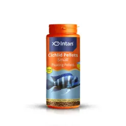 Intan Cichlid Pellets - Small | Floating Fish Food - Intan Cichlid Pellets Small, floating fish food for cichlids, African Cichlid food India, Mbuna fish pellets, Peacock Cichlid colour enhancing food, high protein cichlid diet, best food for juvenile cichlids, cichlid fish food with astaxanthin