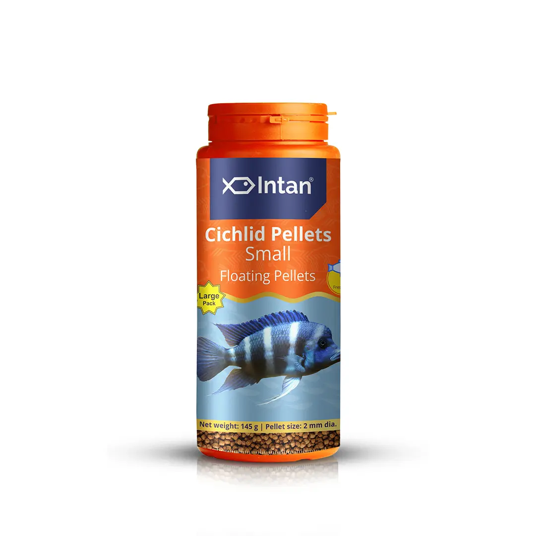 Intan Cichlid Pellets - Small | Floating Fish Food - Image 1 Intan Cichlid Pellets - Small | Floating Fish Food - Intan Cichlid Pellets Small, floating fish food for cichlids, African Cichlid food India, Mbuna fish pellets, Peacock Cichlid colour enhancing food, high protein cichlid diet, best food for juvenile cichlids, cichlid fish food with astaxanthin