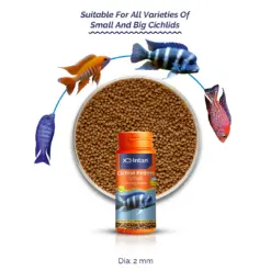 Intan Cichlid Pellets - Small | Floating Fish Food - Intan Cichlid Pellets Small, floating fish food for cichlids, African Cichlid food India, Mbuna fish pellets, Peacock Cichlid colour enhancing food, high protein cichlid diet, best food for juvenile cichlids, cichlid fish food with astaxanthin