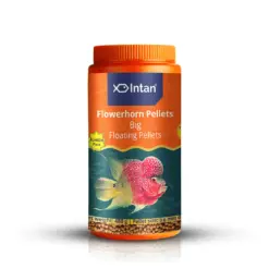 Intan Flower Horn Pellets - Big | Floating Fish Food - Intan Flower Horn Pellets Big, Flowerhorn fish food India, Kok growth fish food, Kamfa cichlid floating pellets, best food for Flowerhorn head hump, astaxanthin fish food for colour, high protein Flowerhorn food, floating pellets for cichlids India