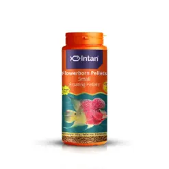 Intan Flower Horn Pellets - Small | Floating Fish Food - Intan Flower Horn Pellets Small, Flowerhorn fish food India, best food for kok growth, Kamfa cichlid pellets, floating fish food for Flowerhorn, astaxanthin fish food for color, high protein cichlid food, Flowerhorn food for juveniles, Intan fish food price India
