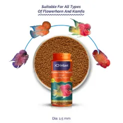 Intan Flower Horn Pellets - Small | Floating Fish Food - Intan Flower Horn Pellets Small, Flowerhorn fish food India, best food for kok growth, Kamfa cichlid pellets, floating fish food for Flowerhorn, astaxanthin fish food for color, high protein cichlid food, Flowerhorn food for juveniles, Intan fish food price India