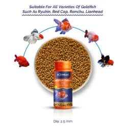 Intan Goldfish Pellets - Big | Floating Fish Food - Intan Goldfish Pellets Big, floating fish food for goldfish India, best goldfish food for colour enhancement, Ryukin Ranchu fish food, natural goldfish pellets no artificial colour, high protein goldfish food India, Intan fish feed 2.5mm pellets, goldfish food for Red Cap and Lionhead