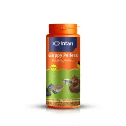 Intan Guppy Pellets - Floating Fish Food - Intan Guppy Pellets, floating fish food for guppies, best guppy food India, guppy colour enhancing food, 0.8mm fish pellets, surface feeding fish food, guppy nutrition, high protein guppy food, astaxanthin fish food India