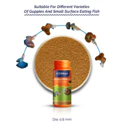 Intan Guppy Pellets - Floating Fish Food - Intan Guppy Pellets, floating fish food for guppies, best guppy food India, guppy colour enhancing food, 0.8mm fish pellets, surface feeding fish food, guppy nutrition, high protein guppy food, astaxanthin fish food India