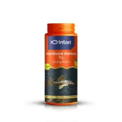 Intan Herbivore Wafers - Big | Sinking Fish Food - Intan Herbivore Wafers Big, sinking fish food for plecos, herbivorous fish food India, mbuna cichlid food, spirulina fish wafers, vegetarian fish food for aquarium, best food for algae eaters, sinking pellets for bottom feeders India