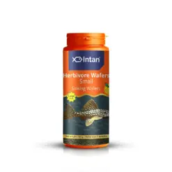 Intan Herbivore Wafers - Small | Sinking Fish Food - Intan Herbivore Wafers Small, sinking fish food for plecos, vegetarian fish food India, spirulina wafers for fish, Mbuna Cichlid food, Molly fish diet, best sinking wafers for herbivores, Intan aquarium food, herbivorous fish feed India