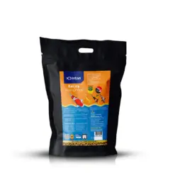 Intan Koi Joy Pellets - Floating Fish Food - Intan Koi Joy Pellets, floating koi food India, best koi carp food for colour, spirulina fish food for koi, high protein koi pellets, Kohaku Showa Ogon fish food, pond fish food for growth, Antarctic krill koi feed, koi food for water clarity