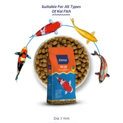 Intan Koi Joy Pellets - Floating Fish Food - Intan Koi Joy Pellets, floating koi food India, best koi carp food for colour, spirulina fish food for koi, high protein koi pellets, Kohaku Showa Ogon fish food, pond fish food for growth, Antarctic krill koi feed, koi food for water clarity