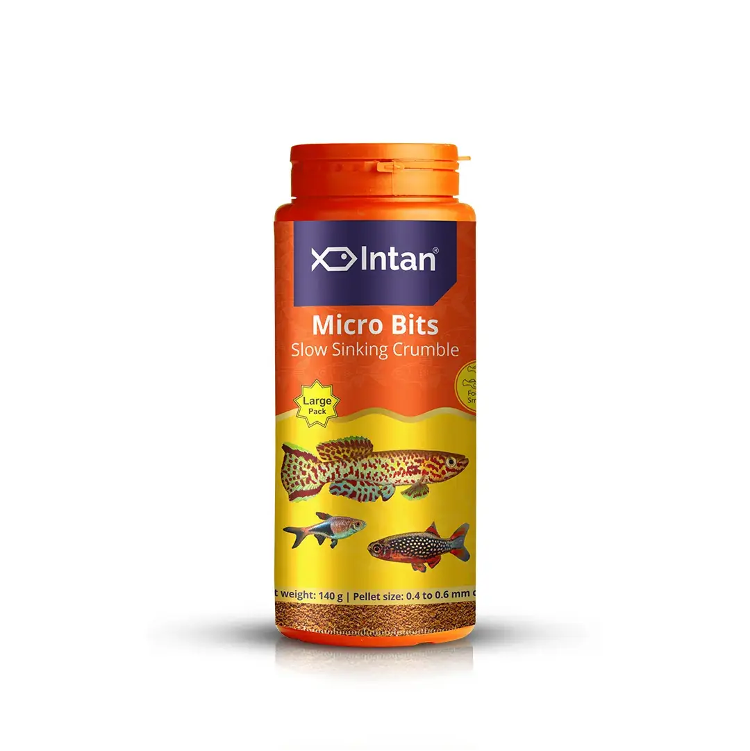 Intan Micro Bits - Slow Sinking Fish Food for Small Mouth Tropical Fish - Image 1 Intan Micro Bits - Slow Sinking Fish Food for Small Mouth Tropical Fish - Intan Micro Bits, slow sinking fish food, small mouth tropical fish food, neon tetra pellets, rasbora fish feed, danio fish food, high protein aquarium food, fish food with garlic, Antarctic krill fish food, best food for endler guppies, water stable fish pellets India