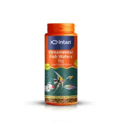 Intan Ornamental Fish Wafers - Big | Slow Sinking Fish Food - Intan Ornamental Fish Wafers Big, slow sinking fish food India, community fish wafers, bottom feeder food for plecos and corydoras, color enhancing fish food, Antarctic krill fish pellets, best food for mixed community tank, fish food with astaxanthin and marigold, anti-microbial fish feed India
