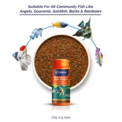 Intan Ornamental Fish Wafers - Small | Slow Sinking Fish Food - Intan Ornamental Fish Wafers Small, slow sinking fish food India, community tank fish food, color enhancing fish pellets, Corydoras catfish food, Angelfish food India, Antarctic krill fish feed, anti-microbial fish food, best feed for mixed community aquarium