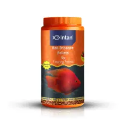 Intan Red Enhance Pellets - Big | Floating Fish Food - Intan Red Enhance Pellets Big, red colour enhancing fish food India, Blood Parrot Cichlid food, natural astaxanthin fish food, floating pellets for parrot fish, best fish food for red colour, Antarctic krill fish food, high protein parrot fish food