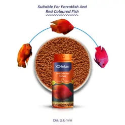Intan Red Enhance Pellets - Big | Floating Fish Food - Intan Red Enhance Pellets Big, red colour enhancing fish food India, Blood Parrot Cichlid food, natural astaxanthin fish food, floating pellets for parrot fish, best fish food for red colour, Antarctic krill fish food, high protein parrot fish food