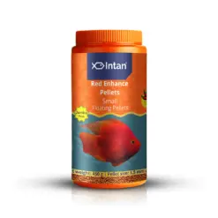 Intan Red Enhance Pellets - Small | Floating Fish Food - Intan Red Enhance Pellets, red parrot fish food India, floating fish food for blood parrot cichlid, natural colour enhancing fish food, astaxanthin fish food, parrot fish pellets small, best fish food for red colour, Intan aquarium feed, fish food for red pigmentation