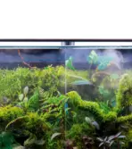 DOOA Circulation Fan 40 - Circulation Fan 40, System Paluda ventilation fan, paludarium air circulation, aquarium exhaust fan, Neo Glass Paluda accessories, humidity control for paludarium, cloud forest aquarium setup, drip proof aquarium fan, 40mm aquarium ventilation fan India