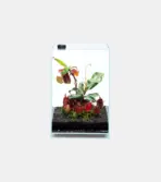 DOOA Circulation Fan 40 - Circulation Fan 40, System Paluda ventilation fan, paludarium air circulation, aquarium exhaust fan, Neo Glass Paluda accessories, humidity control for paludarium, cloud forest aquarium setup, drip proof aquarium fan, 40mm aquarium ventilation fan India