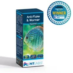 NT LABS Aquarium Anti-Fluke & Wormer | 20ml - NT Labs Anti-Fluke & Wormer, aquarium worm treatment India, fish fluke remover, Discus internal worm medicine, fish clamped fins treatment, aquarium parasite medication, remove flukes from fish, NT Labs NT480 India
