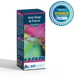 NT LABS Aquarium Anti-Ulcer & Finrot Treatment - NT LABS Anti-Ulcer & Finrot, aquarium fin rot treatment India, fish bacterial infection medicine, Aeromonas treatment for fish, Pseudomonas fish medicine, aquarium mouth rot cure, fish ulcer treatment, NT Labs fish medicine India, anti-bacterial aquarium treatment, fish skin disease remedy