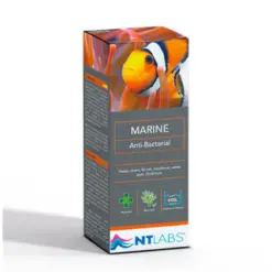 NT Labs Marine Anti Bacterial | 500ml - NT Labs Marine Anti Bacterial, marine fish bacterial treatment, saltwater fish medicine India, treat marine ulcers, marine fin rot cure, NT Labs aquarium treatment, saltwater fish antibacterial, marine aquarium medicine for ulcers
