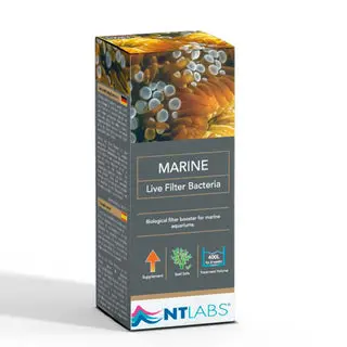 NT Labs Marine Live Filter Bacteria | 100ml - Image 1 NT Labs Marine Live Filter Bacteria | 100ml - NT Labs Marine Live Filter Bacteria, marine aquarium bacteria India, saltwater fish tank cycling, remove ammonia from marine tank, marine nitrifying bacteria, new tank syndrome cure marine, saltwater filter bacteria supplement, best bacteria for marine aquarium India