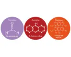 NT LABS Aquarium Anti-Ulcer & Finrot Treatment - NT LABS Anti-Ulcer & Finrot, aquarium fin rot treatment India, fish bacterial infection medicine, Aeromonas treatment for fish, Pseudomonas fish medicine, aquarium mouth rot cure, fish ulcer treatment, NT Labs fish medicine India, anti-bacterial aquarium treatment, fish skin disease remedy