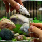 NT LABS Test Phosphate (PO4) - Aquarium Water Testing Kit - NT LABS Test Phosphate, PO4 aquarium test kit, aquarium phosphate tester India, marine tank phosphate test, reef tank water testing, phosphate level for corals, freshwater algae control kit, NT007 phosphate test, aquarium water quality monitoring