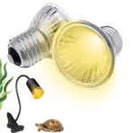 Buy Reptile Turtle Basking Heat Lamp Bulb, reptile basking bulb, turtle heat lamp, halogen reptile bulb, reptile UVA heat lamp, turtle basking light, reptile heat bulb 25W, reptile heat bulb 75W, E27 reptile heat lamp, turtle basking bulb, terrarium heat lamp, vivarium basking light, reptile enclosure heat lamp, tortoise basking bulb, bearded dragon heat lamp, gecko heat bulb, reptile heating lamp India, turtle tank heat light, reptile habitat basking lamp, halogen turtle heat bulb