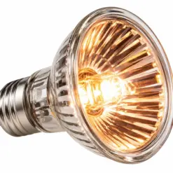 Buy Reptile Turtle Basking Heat Lamp Bulb, reptile basking bulb, turtle heat lamp, halogen reptile bulb, reptile UVA heat lamp, turtle basking light, reptile heat bulb 25W, reptile heat bulb 75W, E27 reptile heat lamp, turtle basking bulb, terrarium heat lamp, vivarium basking light, reptile enclosure heat lamp, tortoise basking bulb, bearded dragon heat lamp, gecko heat bulb, reptile heating lamp India, turtle tank heat light, reptile habitat basking lamp, halogen turtle heat bulb