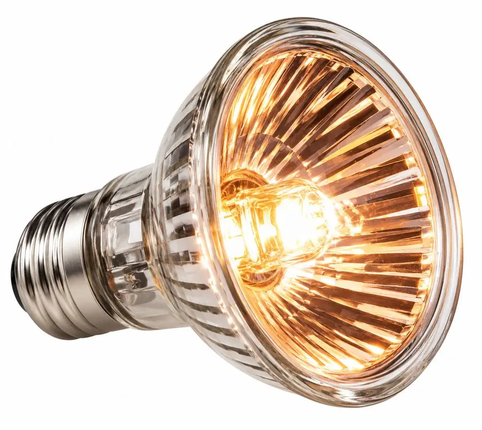 Reptile Turtle Basking Heat Lamp Bulb Buy Reptile Turtle Basking Heat Lamp Bulb, reptile basking bulb, turtle heat lamp, halogen reptile bulb, reptile UVA heat lamp, turtle basking light, reptile heat bulb 25W, reptile heat bulb 75W, E27 reptile heat lamp, turtle basking bulb, terrarium heat lamp, vivarium basking light, reptile enclosure heat lamp, tortoise basking bulb, bearded dragon heat lamp, gecko heat bulb, reptile heating lamp India, turtle tank heat light, reptile habitat basking lamp, halogen turtle heat bulb