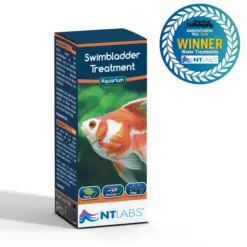 NT LABS Aquarium Swimbladder Treatment | 100ml - NT LABS swimbladder treatment, fish buoyancy disease cure, goldfish swimbladder infection treatment, flowerhorn floating upside down remedy, aquarium Aeromonas treatment, Pseudomonas bacteria fish medicine, fish buoyancy regulator India, NT Labs fish medicine for stability, treat lethargic fish clamped fins