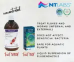 NT LABS Koi Care Flukasol | 500ml - NT LABS Koi Care Flukasol, treat skin and gill flukes, flubendazole for koi, pond fluke medication India, koi fish parasite treatment, gill fluke remedy for pond, NT Labs fish medicine, concentrated fluke treatment for koi