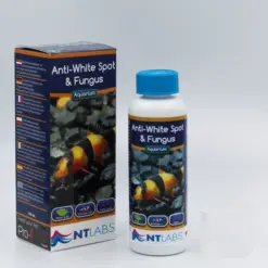 NT Labs Anti White Spot & Fungus, white spot treatment aquarium, fish fungus treatment, ich treatment for fish, aquarium parasite medication, white spot medicine for fish, buy fish medication online India, aquarium anti fungal treatment, NT Labs AQD22NT08, fish rubbing on objects treatment