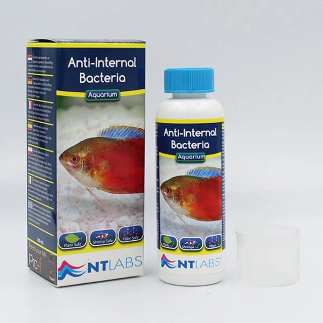 nt labs anti internal bacterial NT Labs Aquarium Anti-Internal Bacteria, fish internal bacteria treatment India, Pseudomonas Aeromonas Vibrio treatment for fish, aquarium medicine for clamped fins, fish red blotches treatment, NT Labs fish medicine, internal bacterial infection cure for aquarium fish, fish lethargy treatment
