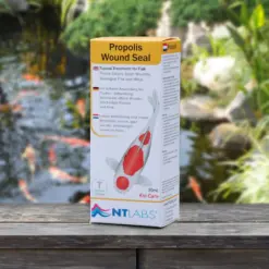 Koi Care Propolis Wound Seal, koi wound treatment, fish ulcer treatment, bee propolis for fish, koi fin repair, Hikui treatment for koi, pond fish wound sealant, aquarium wound care India, koi fish medicine for ulcers